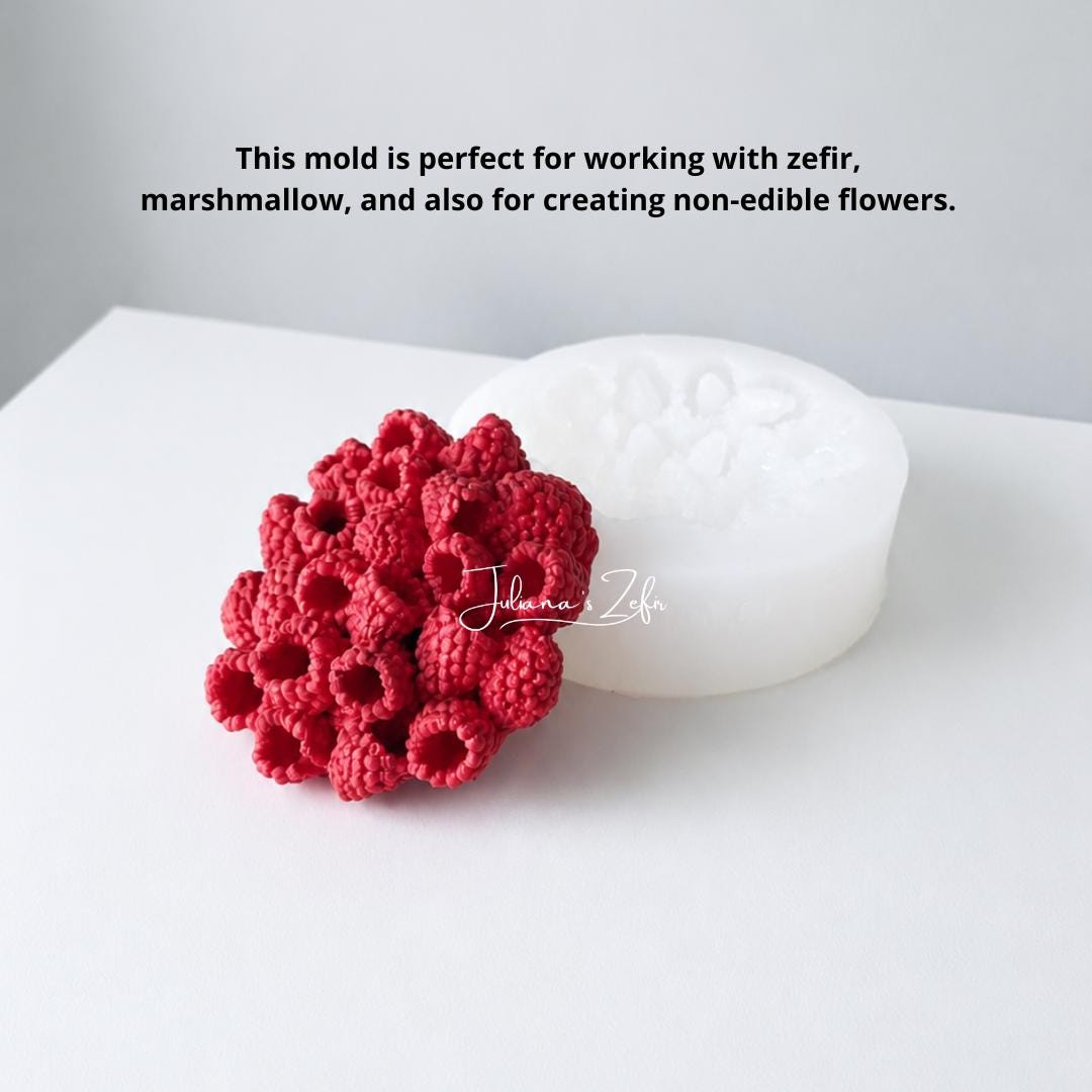 Raspberry Cake Silicone Mold | food grade marshmallow zefir decorating tool