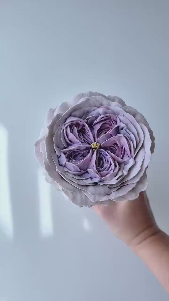 Thistle Dry Spray Color System – Airbrush Alternative for Piped Flowers